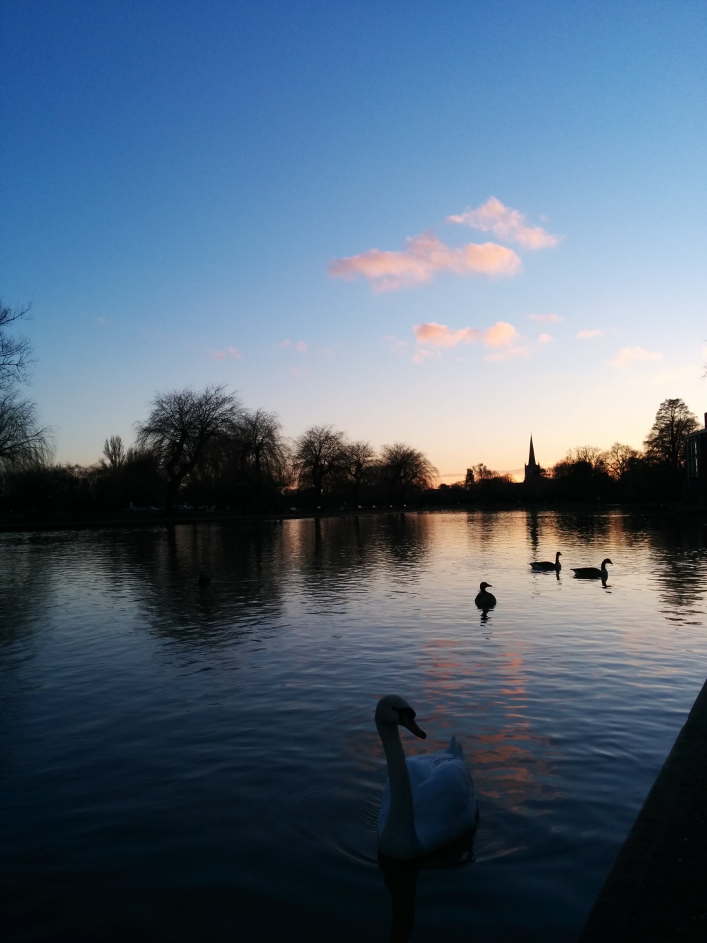 The Swan in Stratford